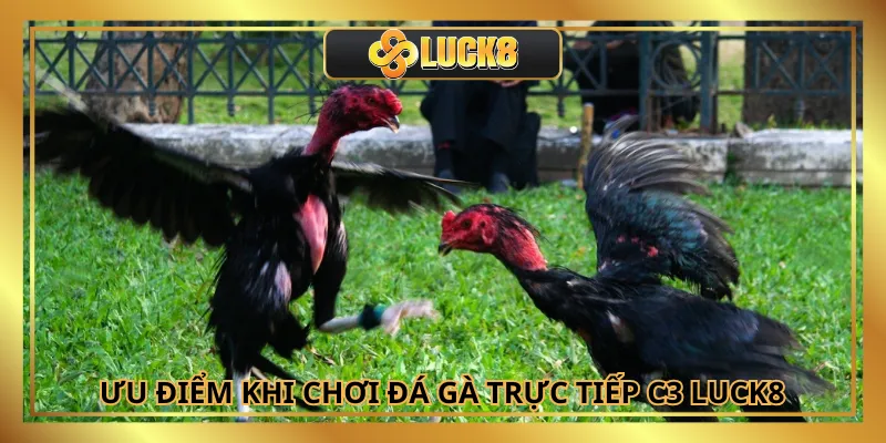Nhiều kèo đa dạng và tỷ lệ ăn cao khi chơi tại Luck8